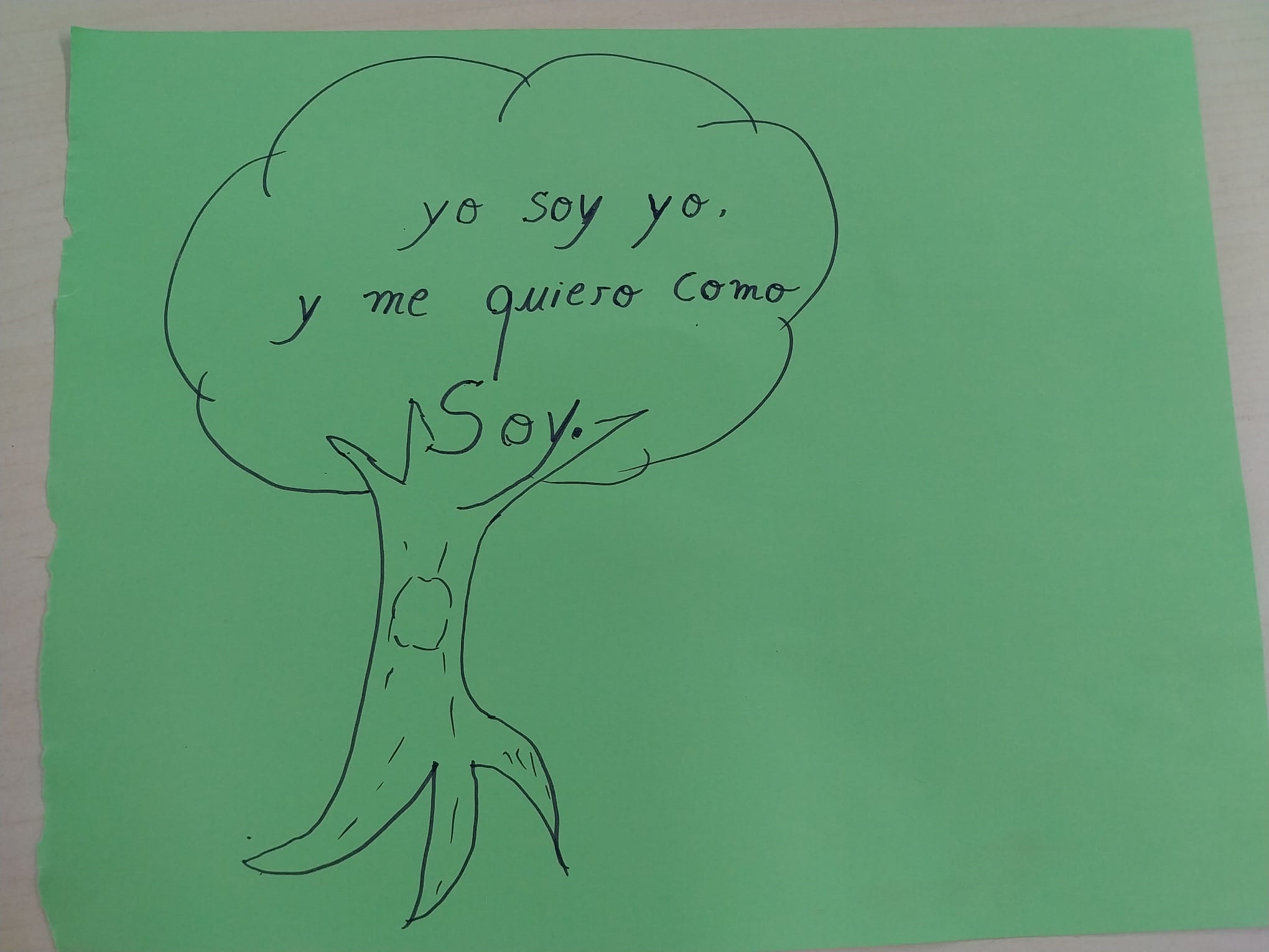 Algunos eslóganes realizados